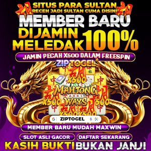 ziptogel
